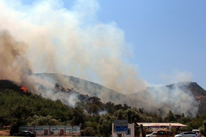 Bodrum’da korkutan yangın