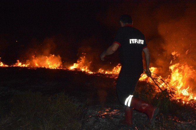 Sinop’ta ot yangını güçlükle söndürüldü