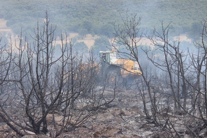 Tavşanlı’da 3 hektar ormanlık alan yandı