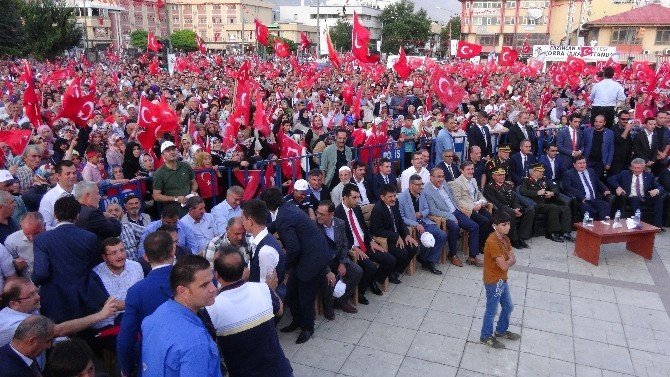 Erzincan halkı demokrasi ve şehitler mitinginde buluştu