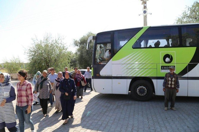 Ereğli Belediyesi Şehit Ömer Halisdemir’in kabrine otobüs kaldırdı