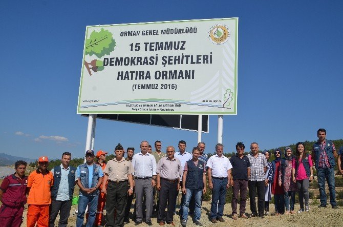Tosya’da “15 Temmuz Demokrasi Şehitleri Hatıra Ormanı” kuruldu