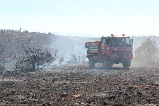 Karaman’da 15 hektarlık orman kül oldu