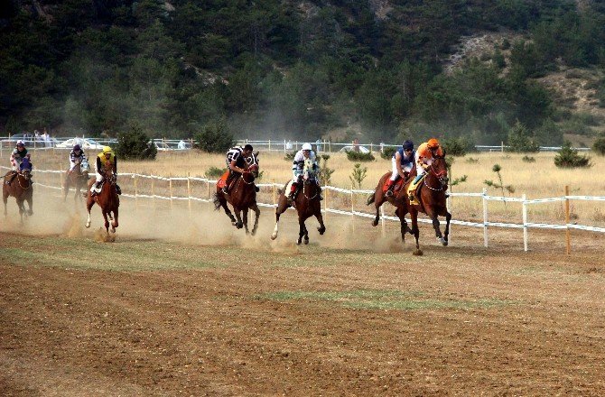 Taşköprü’de at yarışları nefes kesti