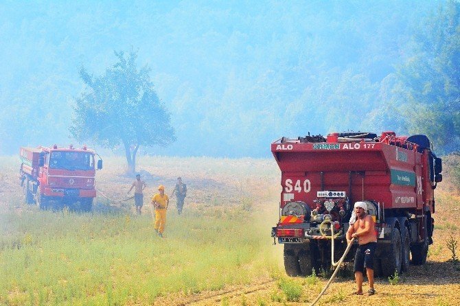 Orman Bölge Müdürü Mehmet Çelik yangınları değerlendirdi