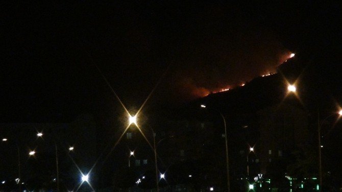 Tatvan’da polis noktasına saldırı sonrası şiddetli çatışma... Teröristler kaçarken ormanı ateşe verdi