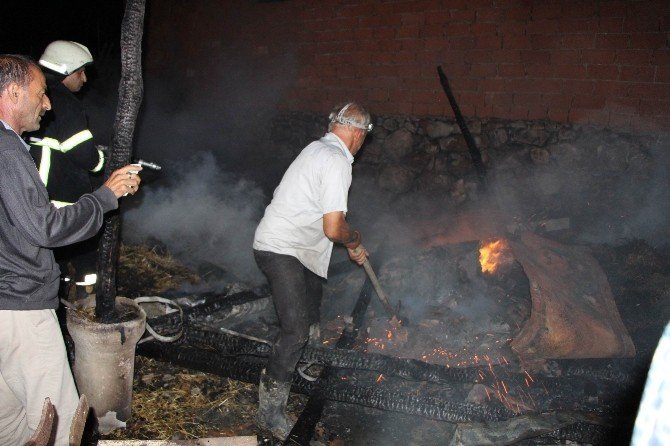 Amasya’da ahır yangını: 6 hayvan telef oldu