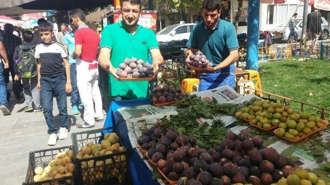 Siirt’in yerli inciri piyasada rağbet görüyor