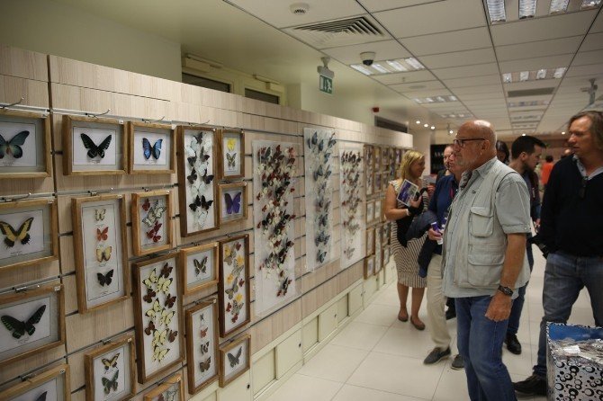 Alman gazeteciler Kelebekler Vadisi’ne hayran kaldı