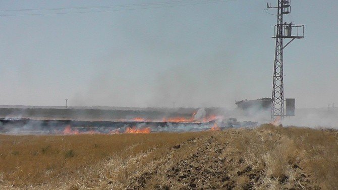 Konya’da anız yangını