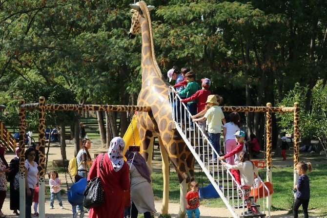 Ücretsiz olunca Zoopark’a akın ettiler