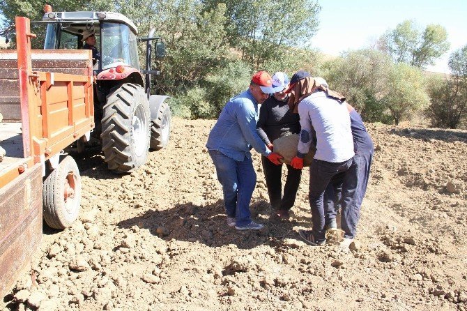 Yozgat çiftçisi taş toplama makinesi istiyor