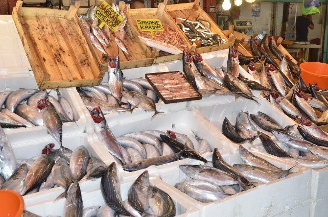 Bandırma’da balık fiyatları ucuzladı