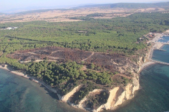 Çanakkale’de 2016 yılında 94 hektar alan yandı