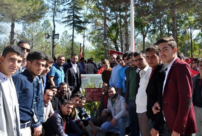 Selçuklu Belediyesi bin kişiyi Şehit Ömer Halisdemir’in kabrine götürüyor