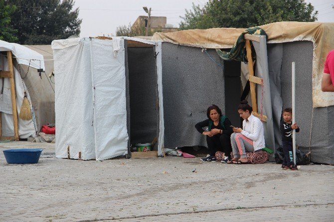 DEAŞ zulmünden kaçan Yezidiler Irak’a dönmek istemiyor