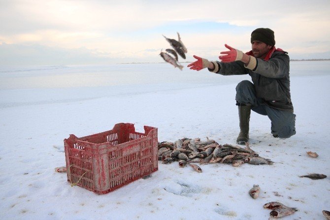 Konya'da “eskimo” usulü balık avı