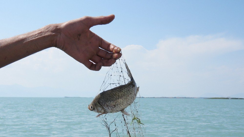 Beyşehir Gölü’nde bu defa balık değil ‘hayalet ağ’ avlıyorlar