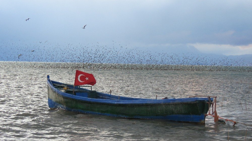 Beyşehir Gölü Milli Parkı’nda sığırcık sürülerinin görsel şöleni