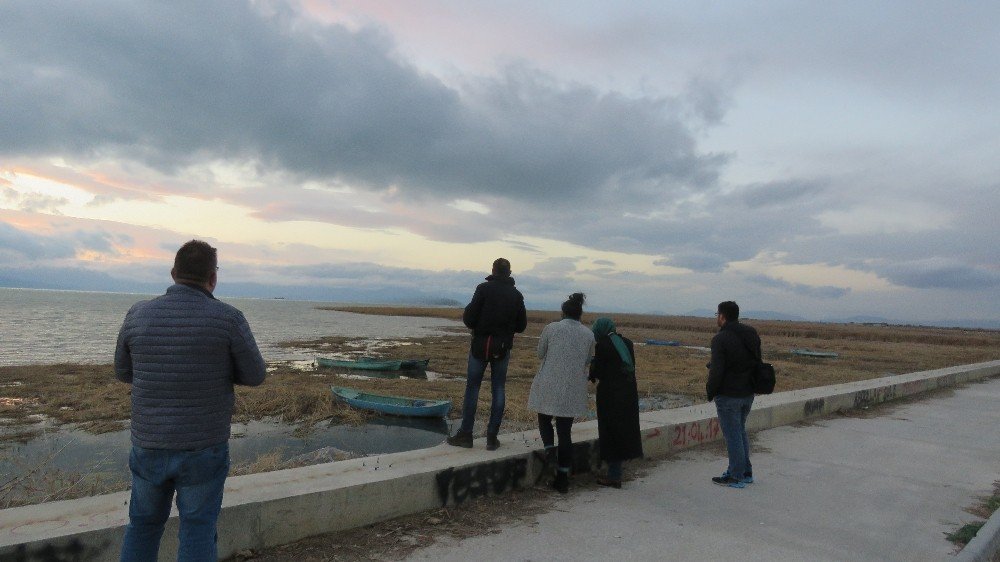 Beyşehir Gölü Milli Parkı’nda sığırcık sürülerinin görsel şöleni