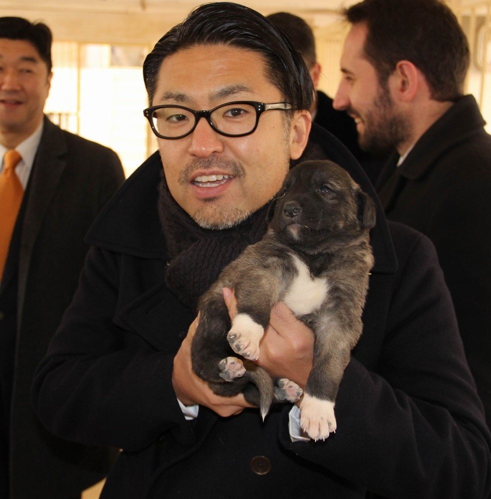 Japon patronun Kangal köpeği sevgisi