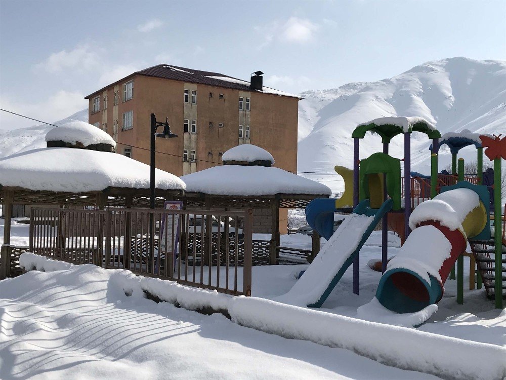 Bitlis 45 köy yolu ulaşıma kapalı