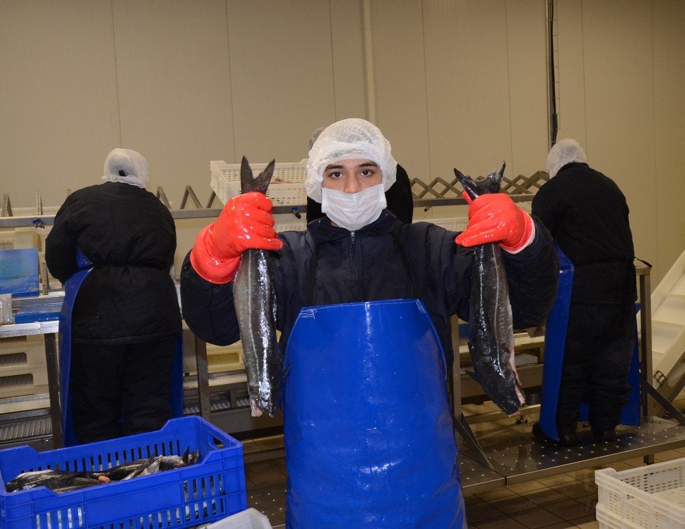 AB desteği ile fabrika kurdu, şimdi 5 milyon liralık ihracat yapıyor