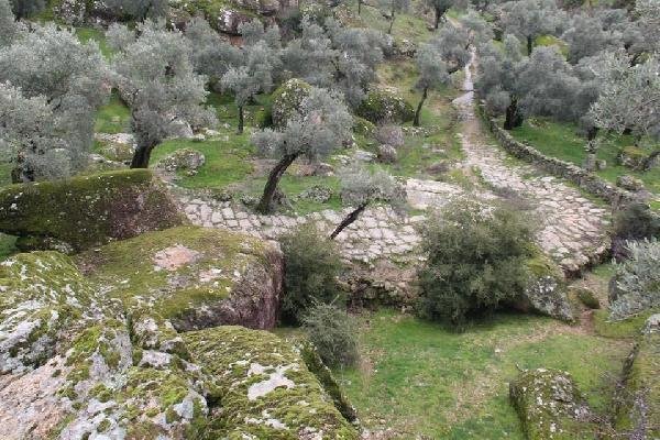 Zeytinliklere yol açmak için antik yolu tahrip ettiler