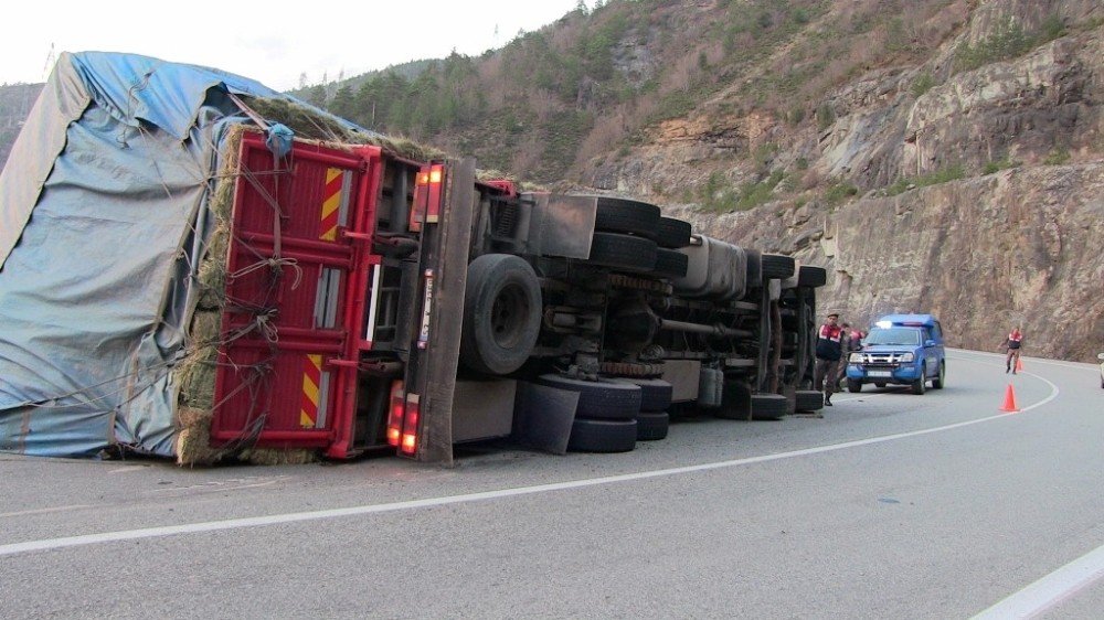 Artvin’de ot yüklü kamyonların kazaları korkutuyor