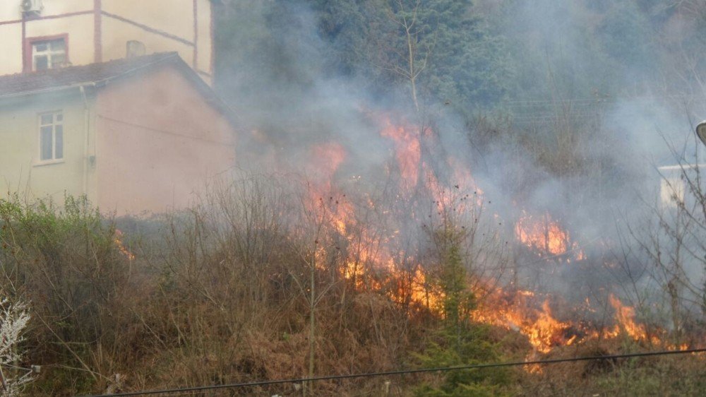 Sinop’ta hastane yakınında yangın
