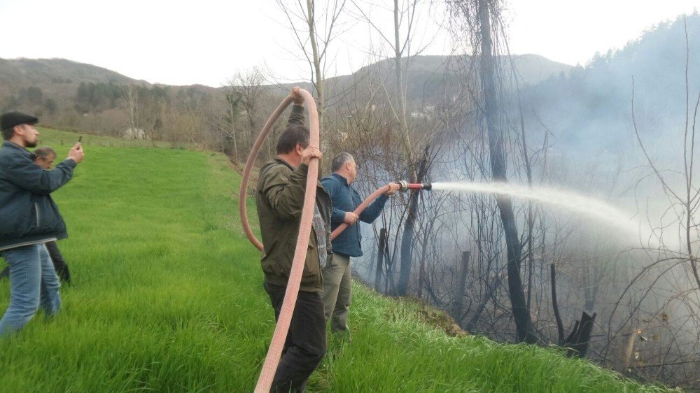 Sinop’ta hastane yakınında yangın