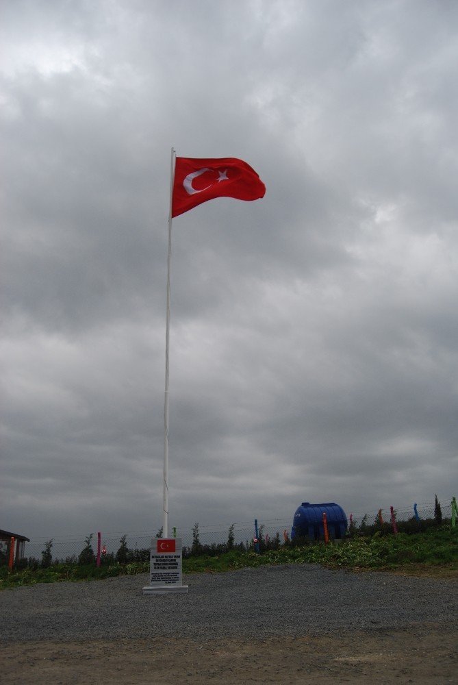 Dev Türk bayrağını göndere çektiler
