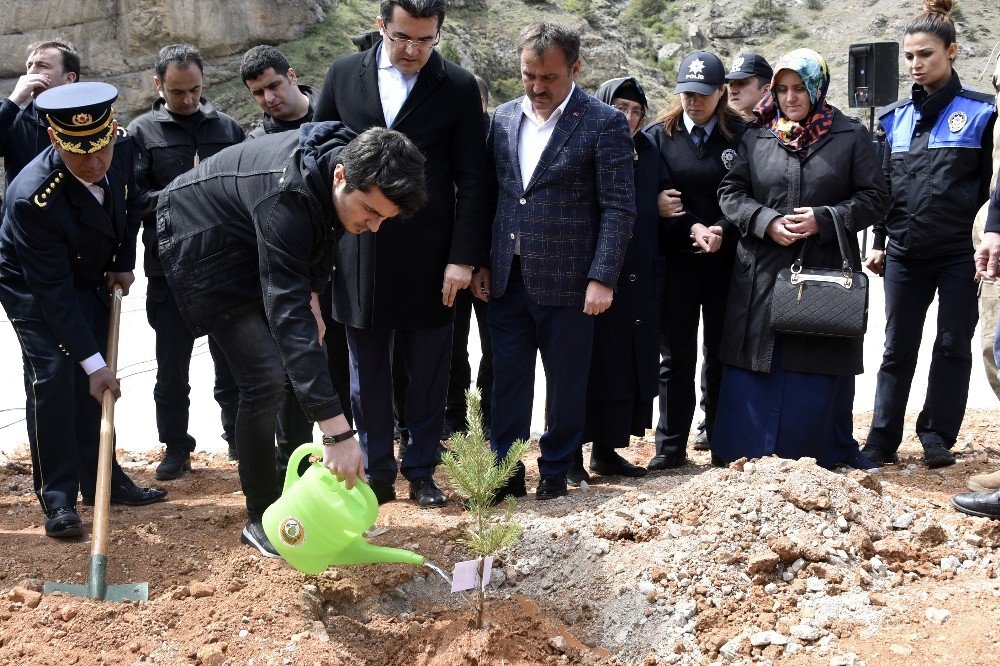 Gümüşhane’de şehit polis Olgun Gülay anısına hatıra ormanı oluşturuldu