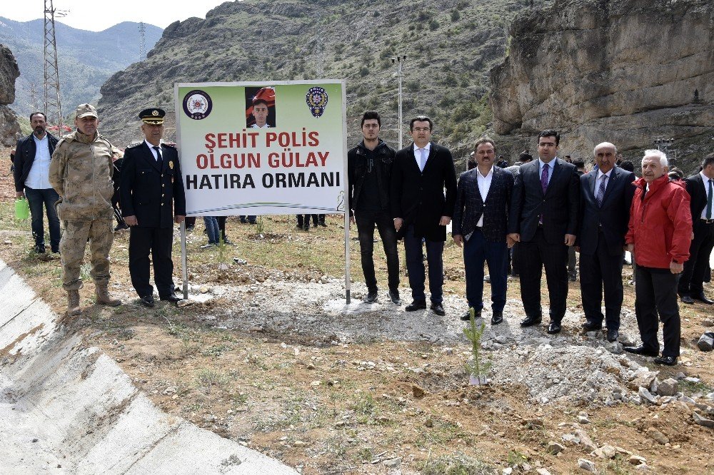 Gümüşhane’de şehit polis Olgun Gülay anısına hatıra ormanı oluşturuldu