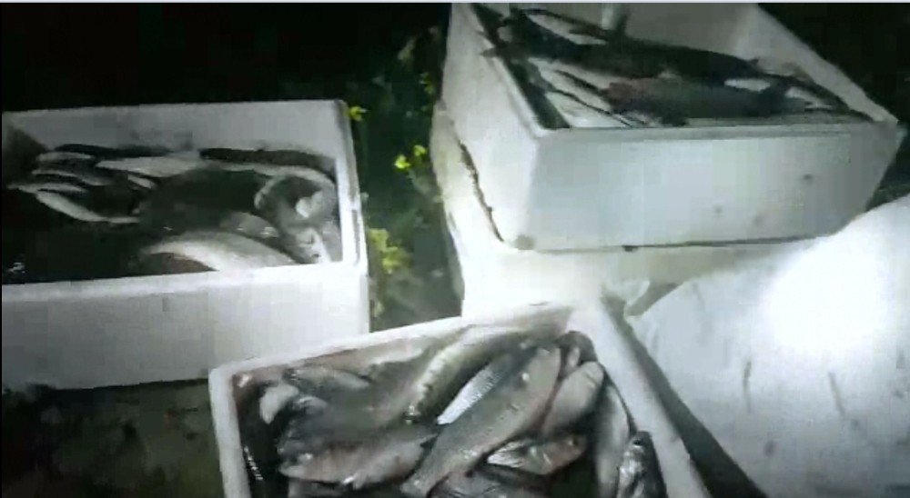 Mersin’de elektrikle balık avlayanlara suçüstü
