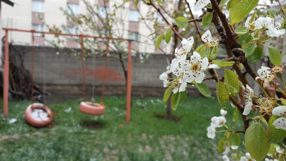 Bitlis Nisan ayında beyaza büründü