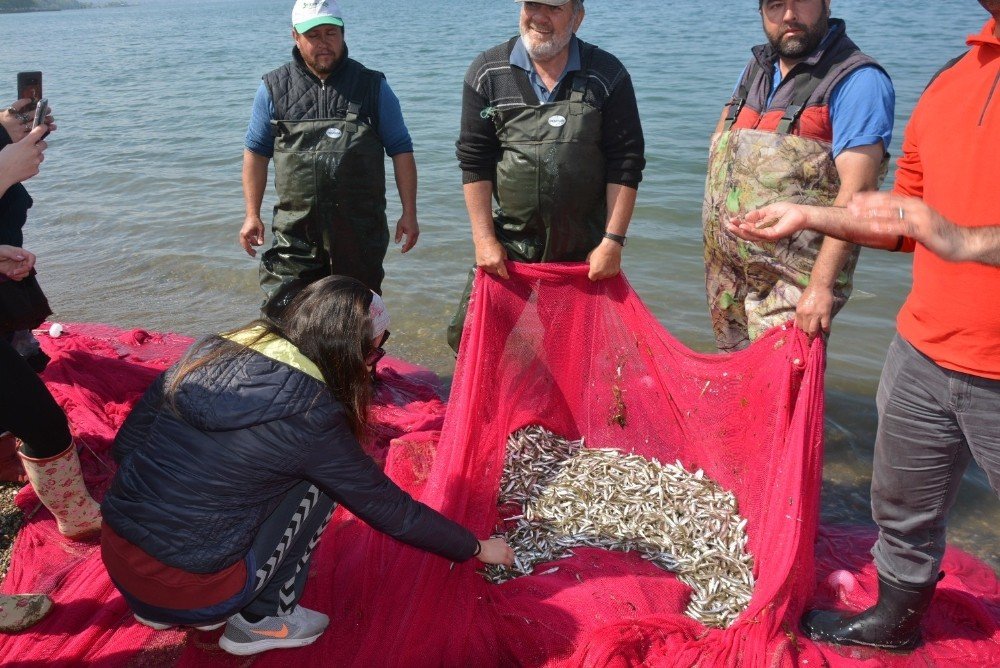 İznik Gölü’nde "Dünya Balık Göçü Günü" kutlandı