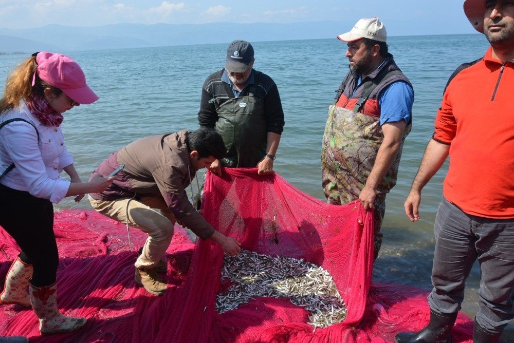 İznik Gölü’nde "Dünya Balık Göçü Günü" kutlandı