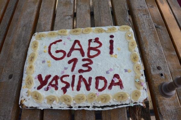 Fil 'Gabi'ye 50 bin kişiyle doğum günü kutlaması