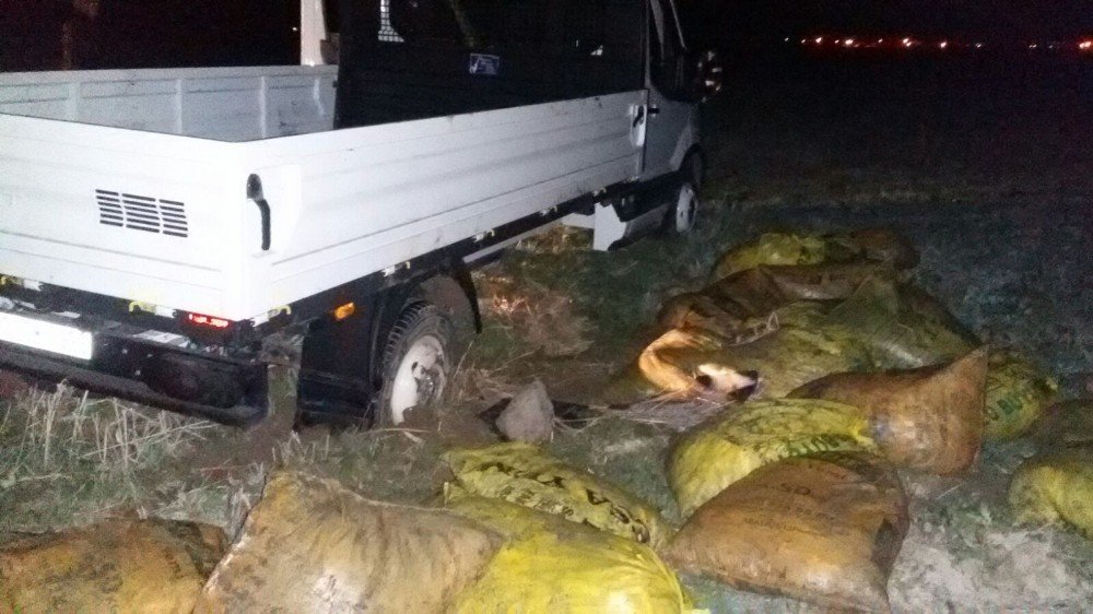 Muradiye’de 4 ton kaçak balık ele geçirildi
