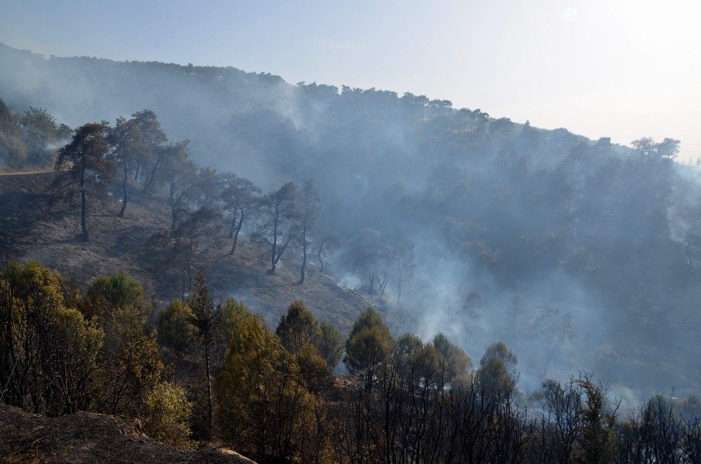 Anızdan çıkan yangında 200 hektar alan kül oldu