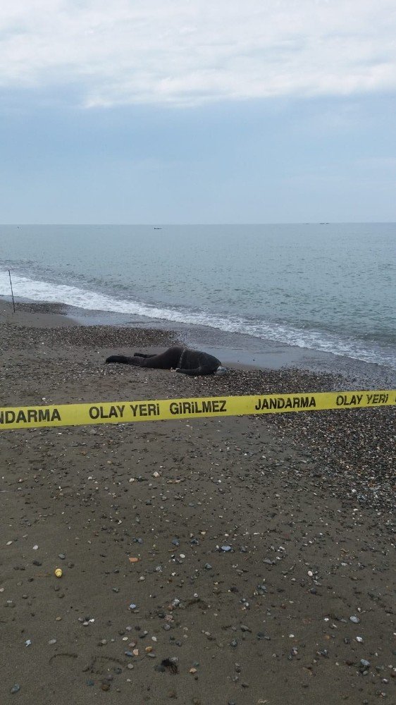 Kayıp yaşlı adamın cesedi 51 gün sonra denizden çıktı