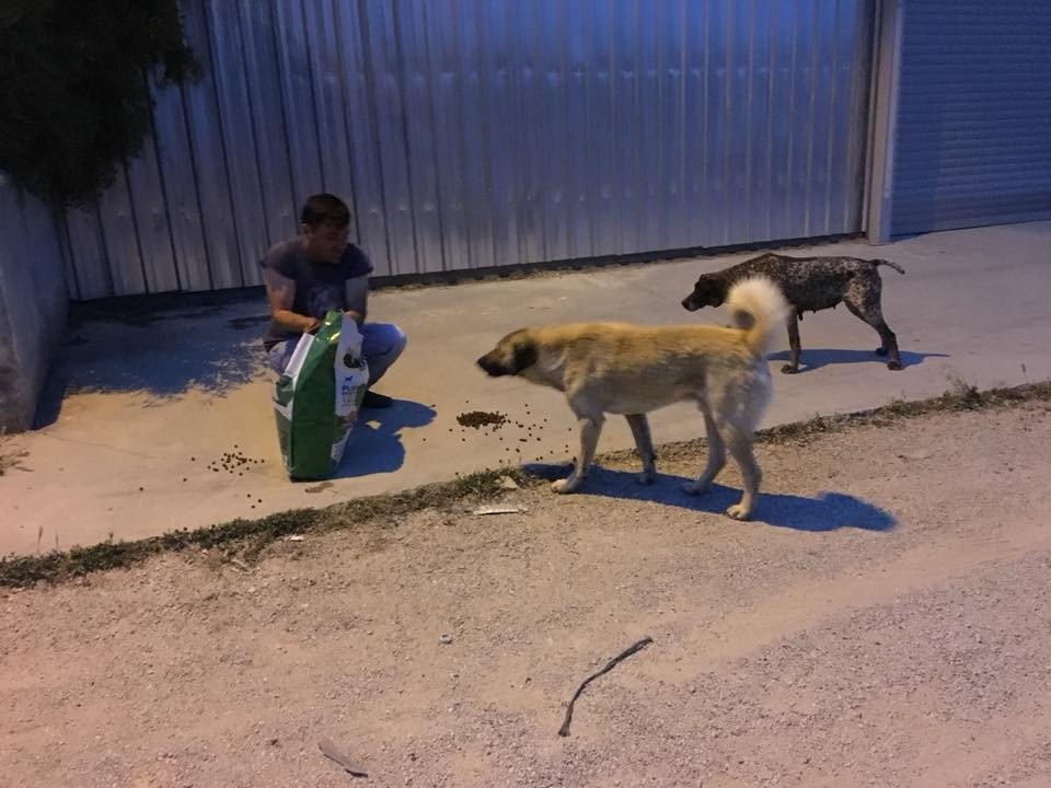 Herkes iftar yaparken onlar sokak hayvanlarını besliyor