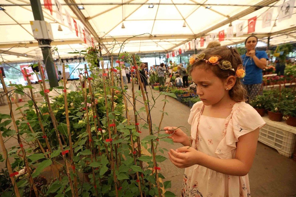 Karşıyaka Çiçek Festivali’ne 40 bin ziyaretçi