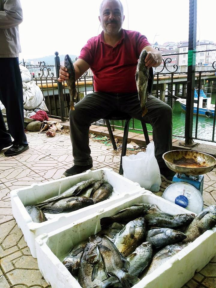 Balıkçıların ağına taş balığı olarak bilinen Ekşina takıldı