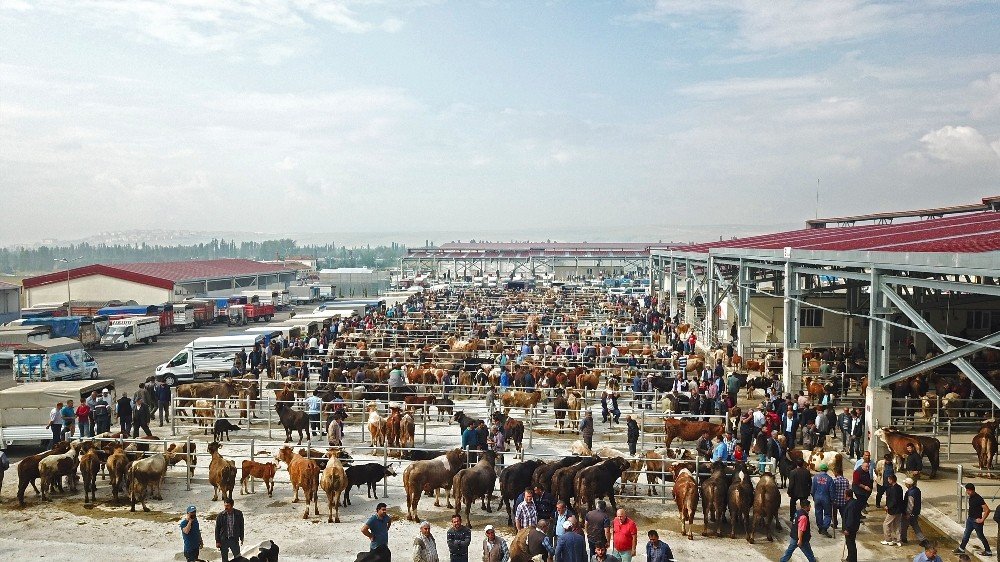 Çorum’da yapımı tamamlanan yeni hayvan pazarı açıldı