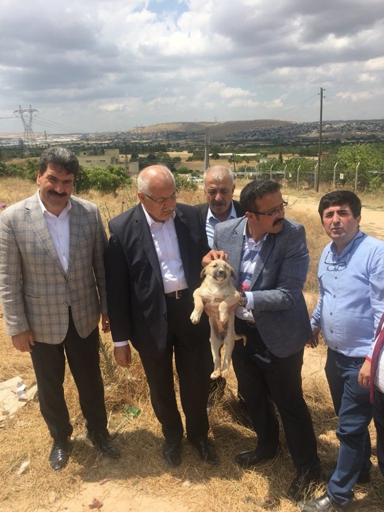 Milletvekili Erdoğan’dan hayvan dostlarına müjde