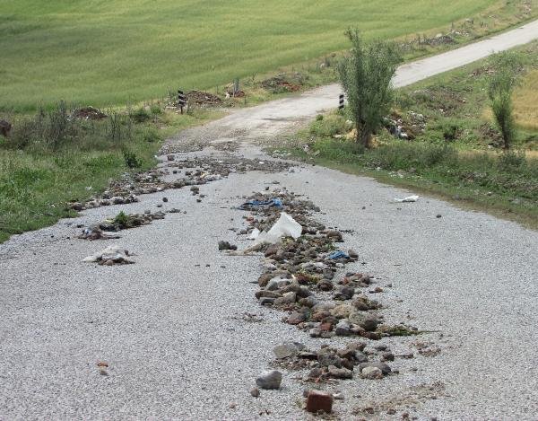 Afyonkarahisar'da dolu ve yağmur patates tarlalarına zarar verdi