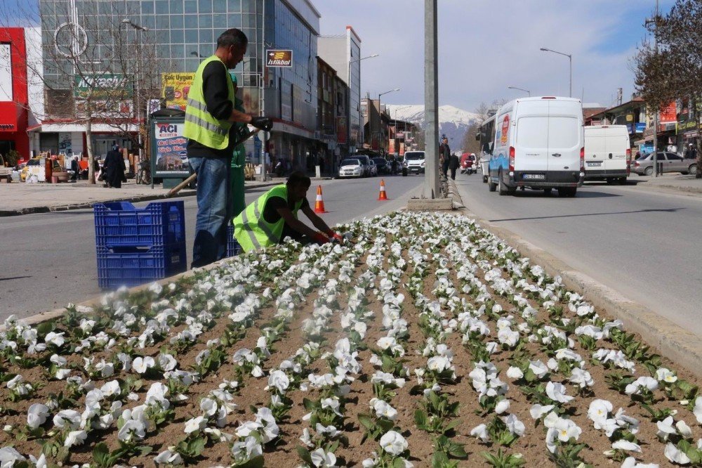 Erzincan’da binlerce çiçek toprakla buluşturuluyor