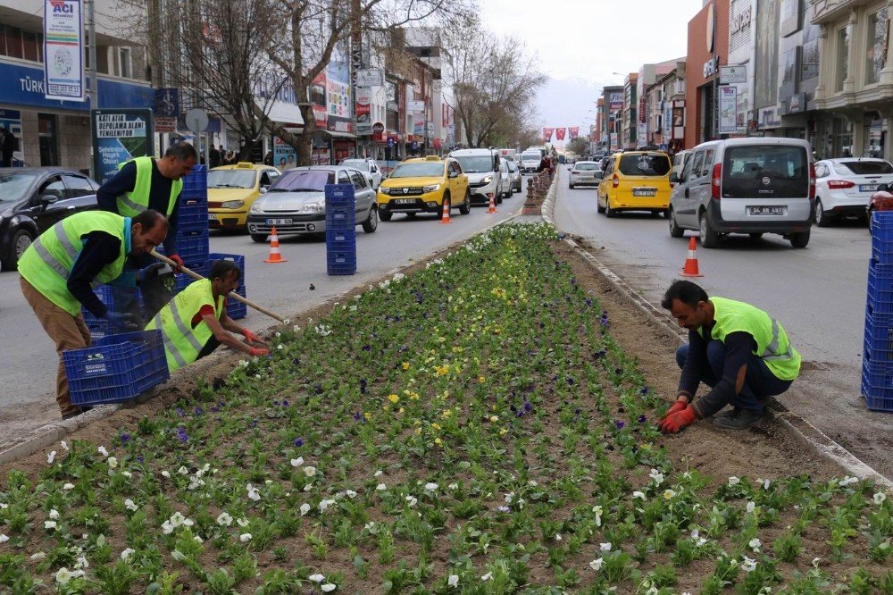 Erzincan’da binlerce çiçek toprakla buluşturuluyor